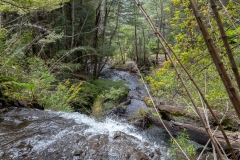 Der erste Wasserfall von oben.