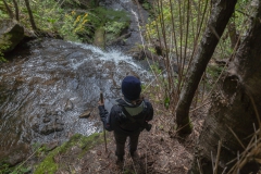 Titel: Die Wanderin.