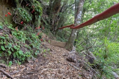 Ging ganz schön Berg rauf und Berg ab.