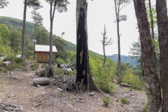 Das "Telefonhäuschen" mitten im Wald. Hier gibt es Handyempfang. Internet kommt aber trotzdem nicht an.