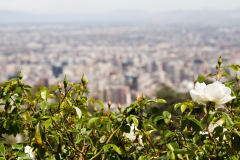 ein Teil von Santiago von oben