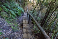Im Nationalpark Huerquehue - teilweise befestige Wege