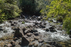 Im Nationalpark Huerquehue - ein Besuch lohnt sich