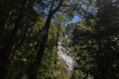 Im Nationalpark Huerquehue - kommt man nicht so direkt ran
