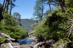 Im Nationalpark Huerquehue - dahinter ist der Wasserfall