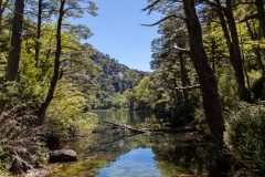 Im Nationalpark Huerquehue - Laguna Chico auf dem Hochplateau