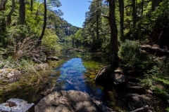 Im Nationalpark Huerquehue - ein anderer See