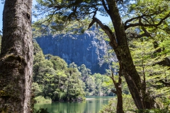 Im Nationalpark Huerquehue - mal wieder war es schön grün