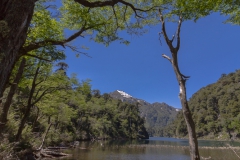 Im Nationalpark Huerquehue - Während des Abstiegs
