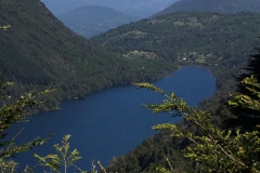 Im Nationalpark Huerquehue - super Ausblicke auf den Vulkan Villarrica
