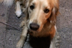 Max mit den mitgebrachten Knochen.