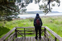 Nationalpark Chiloé - die Aussicht lädt zum Verweilen ein