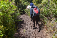 Nationalpark Chiloé - Wege durch den Schlamm