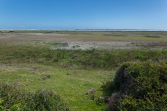 Nationalpark Chiloé - Dünen gibts hier auch schon