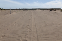 Chepu - scheinbar hatte den Weg auch ein Jeep genommen ;-)