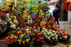 Der Blumenmarkt von Santiago de Chile