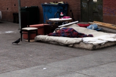 Und dazwischen: immer wieder Elend.