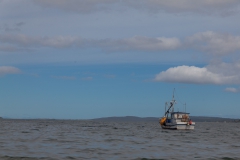 Chiloé - Quellón - einsame Schiffe im Hafen