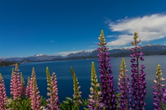 Straße der sieben Seen - Provinz Neuquén in Argentinien - erinnert ein wenig an Neuseeland