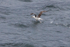 ... und fast in der Luft :-)