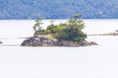 auch auf der kleinsten Insel