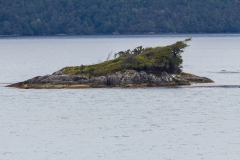 und windschnittig gewachsen.