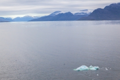 Ein paar Eisbrocken von einem der Gletscher