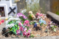 Punta Arenas - auf dem Friedhof