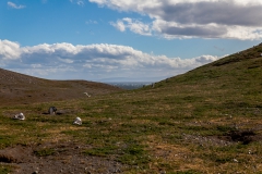 Ein Blick auf die Insel