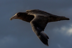 Auch auf dem Rückweg...