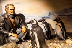 Ushuaia - Galeria Tematica Historia Fueguina - Charles Darwin war bei der zweiten Fahrt der HMS Beagle von 1831 bis 1835 auch mit an Board
