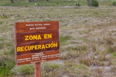 Ushuaia - an der bahia encerrada - eine Art Naturschutzgebiet