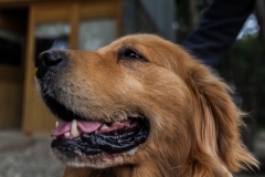 Ushuaia - die Sabberfäden haben wir auch an den Hosen ;-)