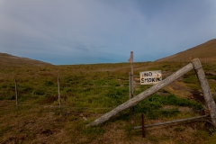 West Point Island - auf dem Weg zur Devils Nose