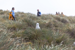 West Point Island - in der Kolonie