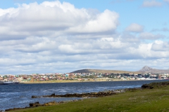 Falklandinseln - Rund um Stanley