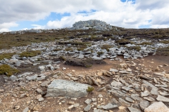 Falklandinseln - Rund um Stanley - karge Umgebung