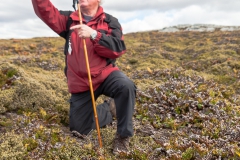 Falklandinseln - Rund um Stanley - unser Guide