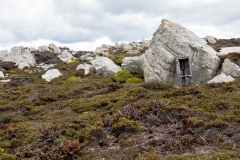 Falklandinseln - Rund um Stanley - ein altes "Notruf-Telefon" mitten im Nirgendwo