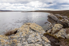 Falklandinseln - Rund um Stanley