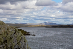 Falklandinseln - Rund um Stanley