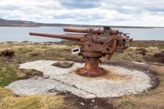 Falklandinseln - Rund um Stanley -Relikte aus dem Krieg von 1982