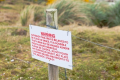 Falklandinseln - Rund um Stanley - nur hingehen ist wegen der Mienengefahr keine gute Idee