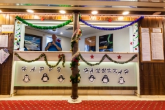 Ocean Diamond - die Expeditionsrezeption