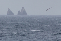 Shag Rocks aus der Ferne