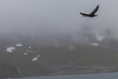 Anflug auf Right Whale Bay