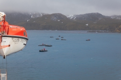 Right Whale Bay: Zodiacs werden zu Wasser gelassen