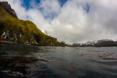 Blick auf die Right Whale Bay