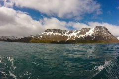 Right Whale Bay