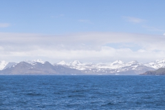 Südgeorgien
